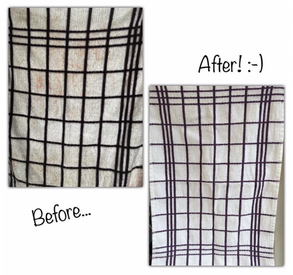 eco-friendly non-toxic cleaning using only edible vegan ingredients